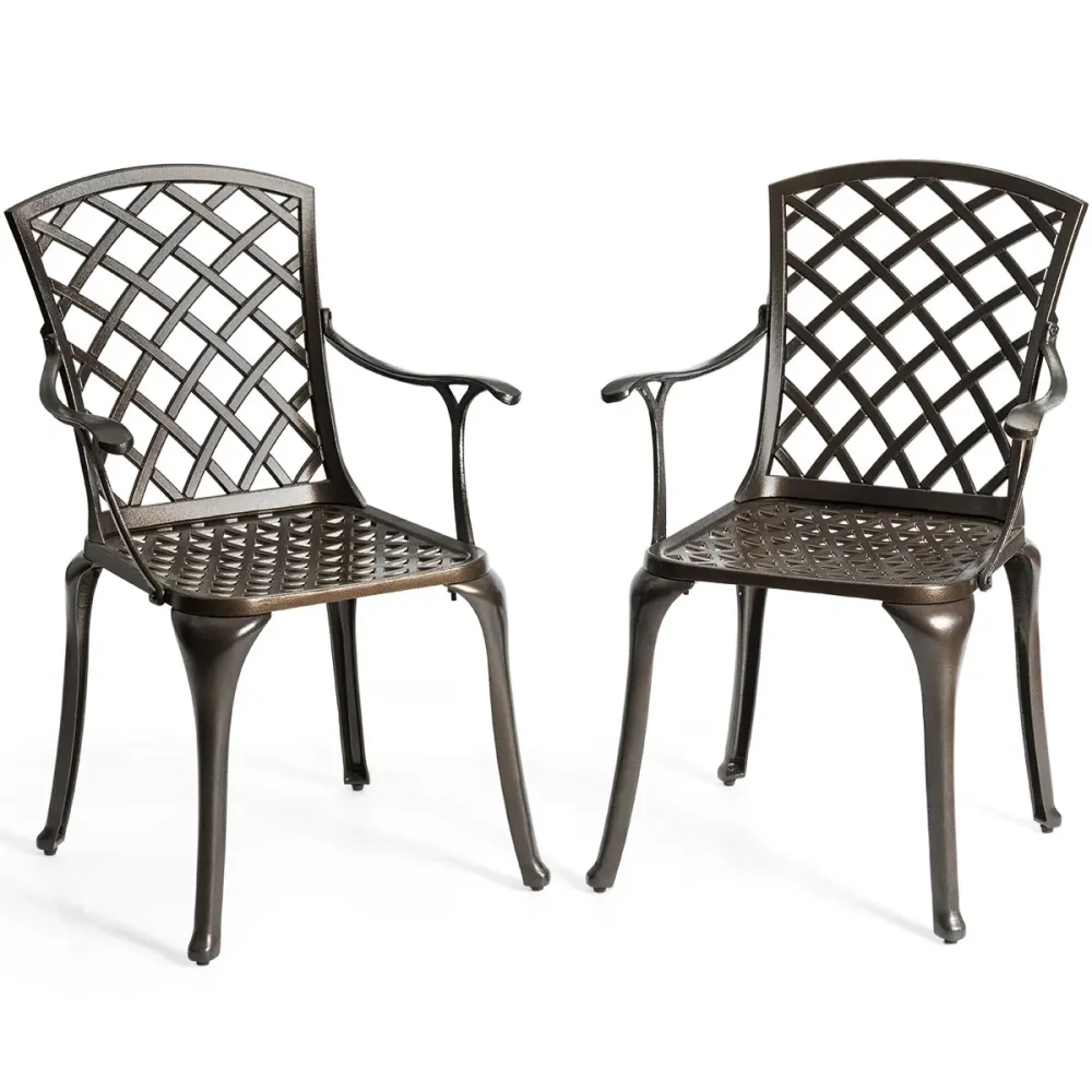 Accessoire Modulable Premium Lot de 2 chaises de salle à manger polyvalentes en fonte d'aluminium dossier/assise ajourés a...
