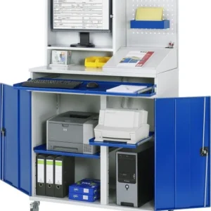 Armoire informatique RAU mobile 1100x1985x520 mm 07-1100T-M67-MG2F.11 magasiner à bas prix