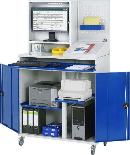 Armoire informatique RAU mobile 1100x1985x520 mm 07-1100T-M67-MG2F.11 magasiner à bas prix
