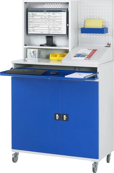 Armoire informatique RAU mobile 1100x1985x520 mm 07-1100T-M67-MG2F.11 magasiner à bas prix