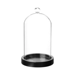 Cloche décorative en verre sur socle en bois chez Alpha55 – Qualité… – L’alliance parfaite entre style et utilité