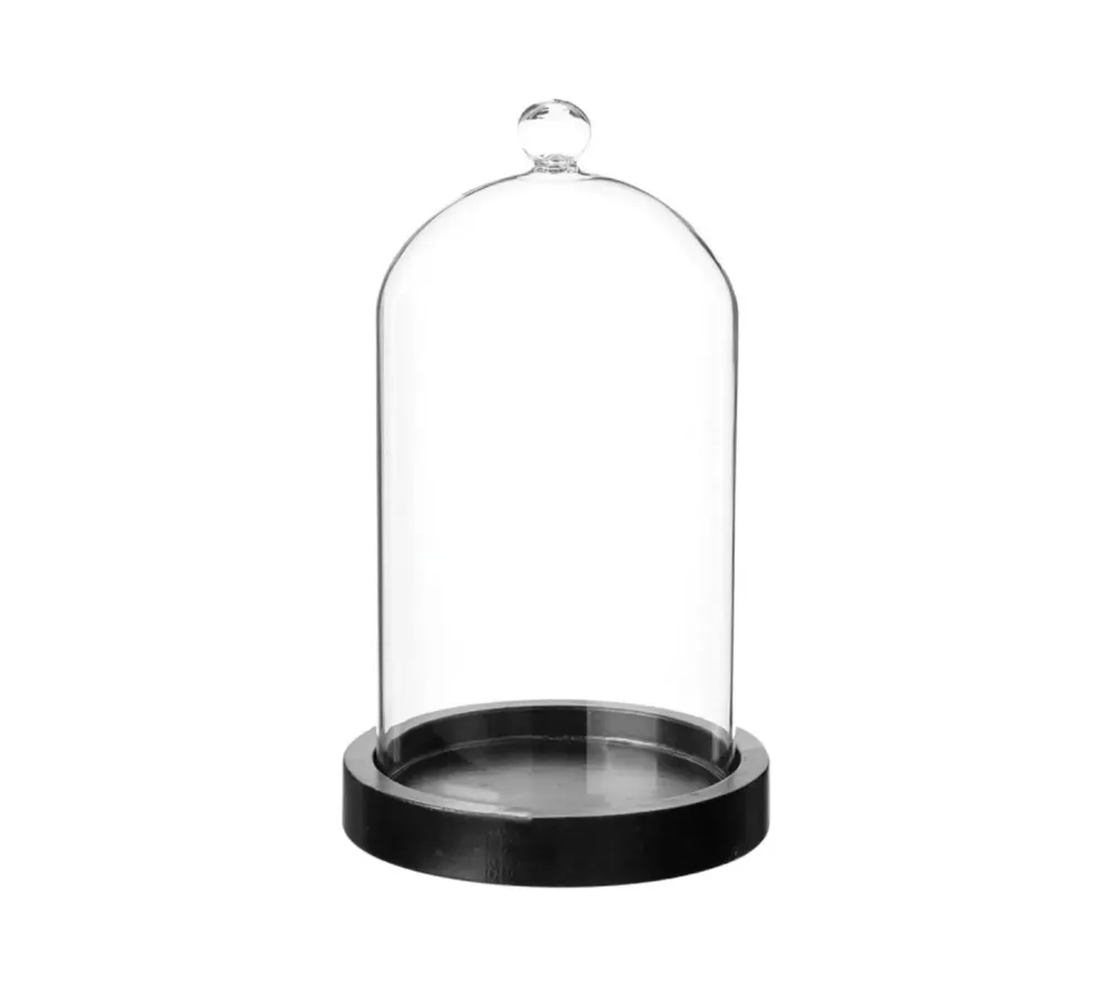 Cloche décorative en verre sur socle en bois chez Alpha55 – Qualité… – L’alliance parfaite entre style et utilité