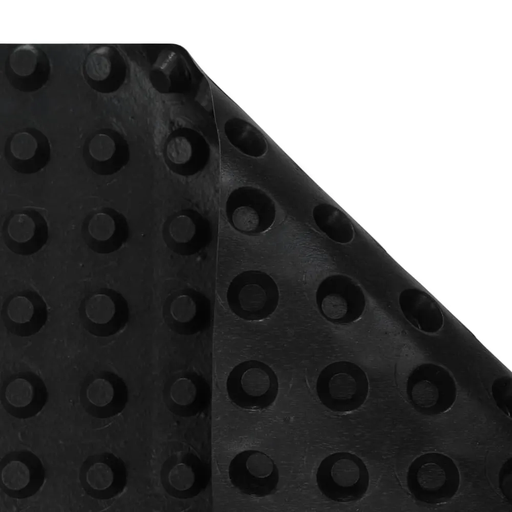 Enveloppes de paie Feuille de drainage à fossettes PEHD 400 g / m² 0,5 x 20 m