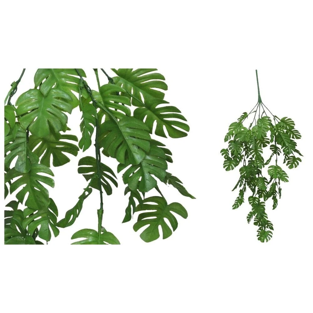 Plante suspendue Monstera – Qualité & Prix chez Alpha55 – L’alliance parfaite entre style et utilité avec 5 compartiments