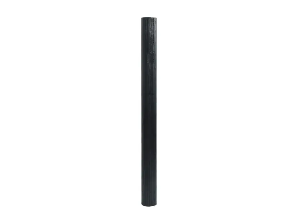 Cloison de séparation noir 165x250 bambou