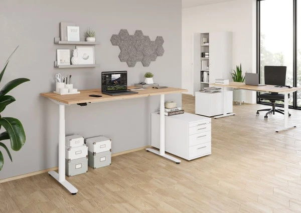 Bureau assis-debout électrique Hammerbacher 160x80cm chêne noueux/blanc VXDLR16/R/W acquérir à bas prix