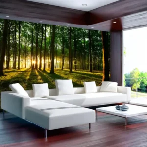 Papier peint intissé Paysages Spring: Morning Forest : Taille - 400 x 280 cm