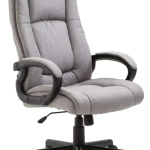 Fauteuil de bureau XL sur roulettes avec accoudoirs mécanisme d'inclinaison plastique tissu gris 10_0002718