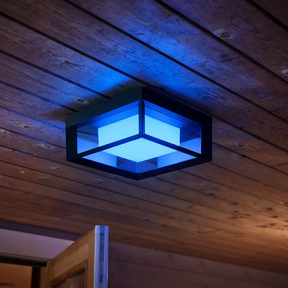 Luminaire mural LED PHILIPS Hue Blanc pur Color Econic 15W Hue PHILIPS