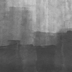 Toile de fond abstraite d'art mural blanc noir pour la photographie D67