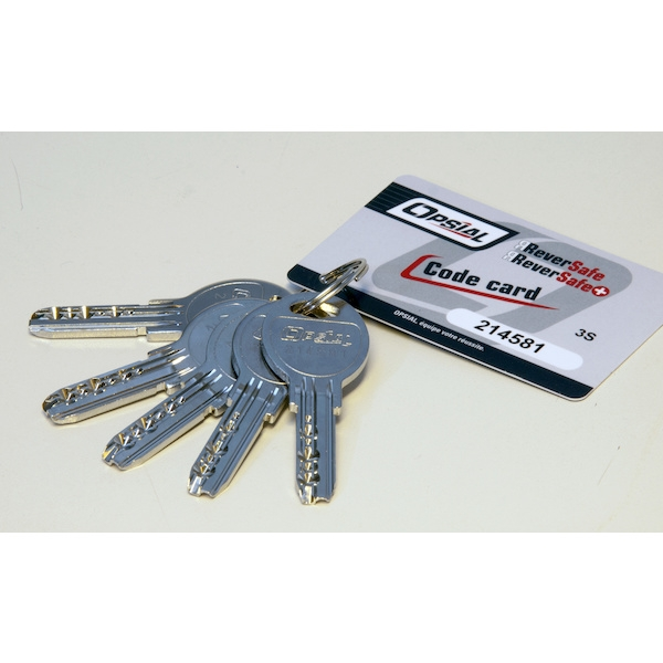 Cylindre européen BOUTON REVERSAFE - varié - 30 x B40 mm - XHANDER