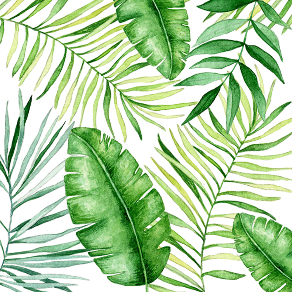 Serviettes de table x20, 33x33cm - Jungle Braun Et Compagnie Non toxique et lavable