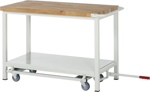 Etabli abaissable RAU 8000 - exemple 8262 L1000 x P700 x H880 mm 15-8262A2-107B4F.11 se procurer à bas prix