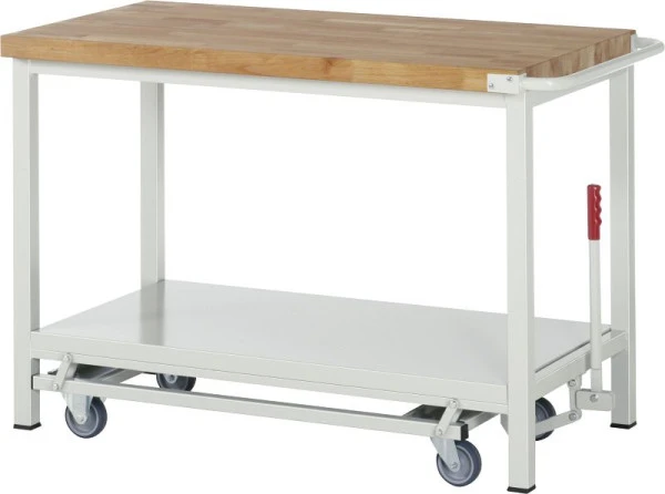 Etabli abaissable RAU 8000 - exemple 8262 L1000 x P700 x H880 mm 15-8262A2-107B4F.11 se procurer à bas prix