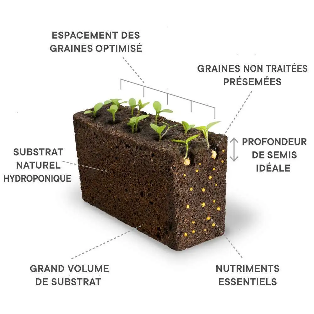 Recharge lingot® de portatif tomates rouges - pour potager Véritable® Veritable