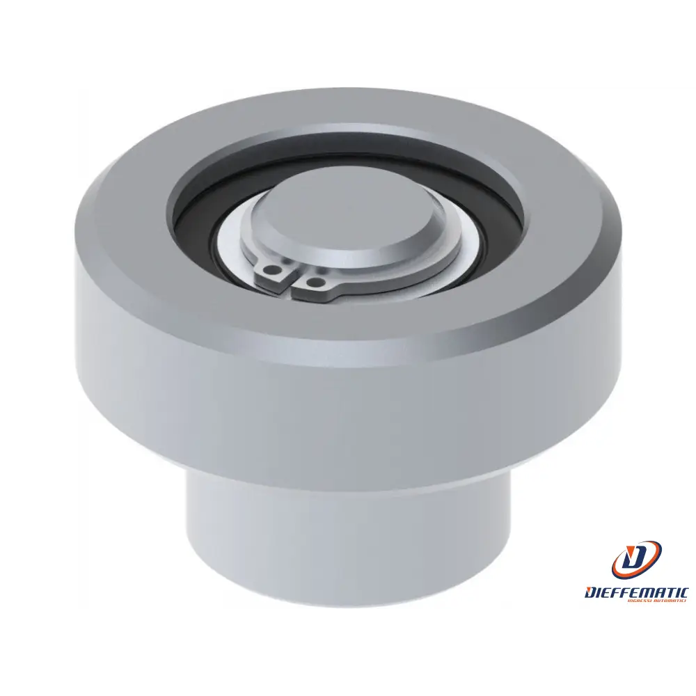 Ruota Di Guida D.42X14 Zincata + Cuscinetto Fac 160C Va3602.042 Automazione
