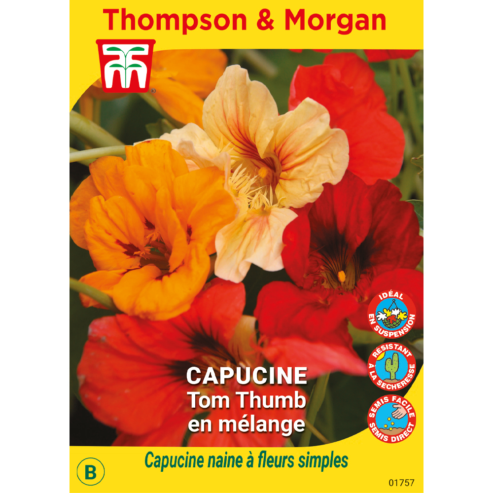 sachet de semence Thompson Et Morgan