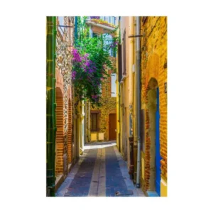 Tableau sur toile ruelle de Collioure 30x45 cm