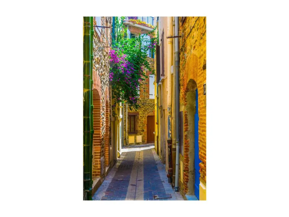 Tableau sur toile ruelle de Collioure 30x45 cm