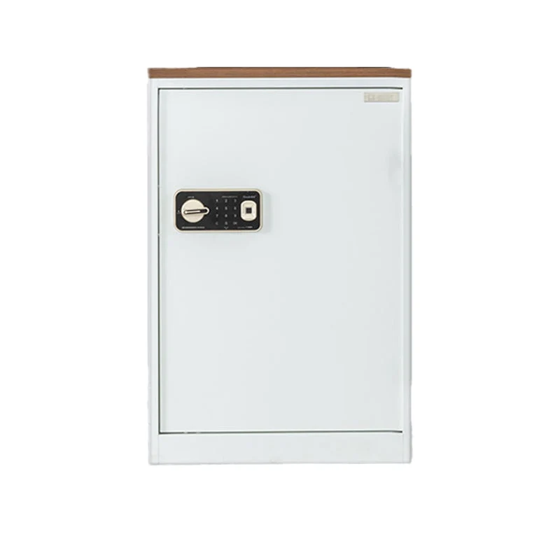 Armoire moderne médiévale à cadre métallique, classeur à verrouillage à clé Clearhalo