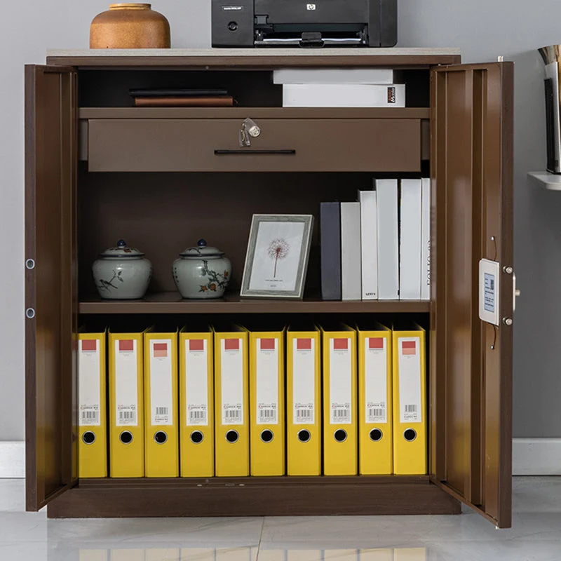 Armoire moderne médiévale à cadre métallique, classeur à verrouillage à clé Clearhalo