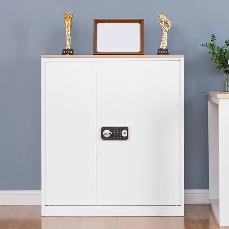 Armoire moderne médiévale à cadre métallique, classeur à verrouillage à clé Clearhalo