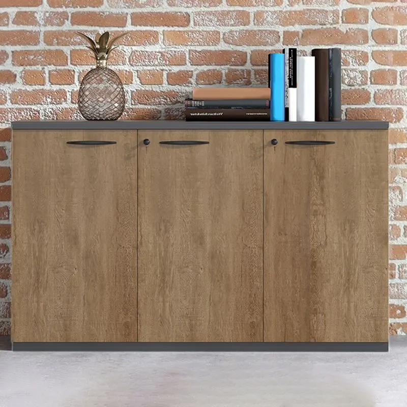 Armoire de rangement moderne médiévale, cadre en bois, classeur à verrouillage à clé en marron Clearhalo