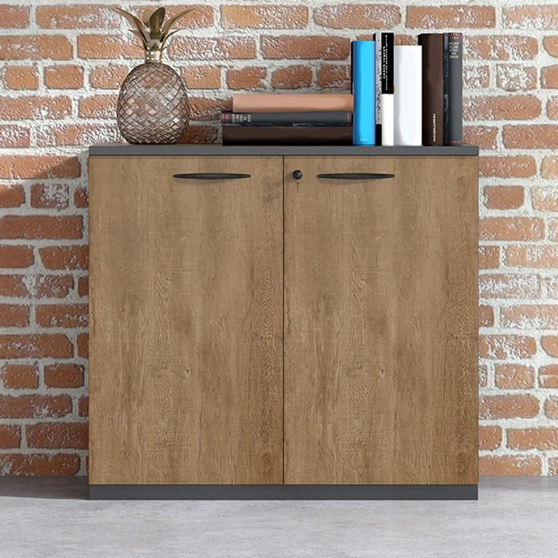 Armoire de rangement moderne médiévale, cadre en bois, classeur à verrouillage à clé en marron Clearhalo