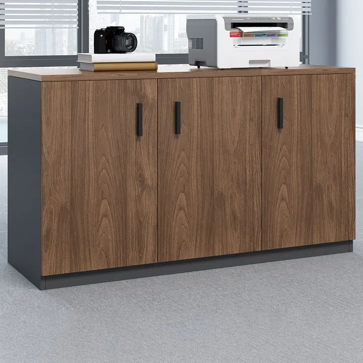Armoire traditionnelle en bois, étagères de rangement, classeur pour bureau Clearhalo
