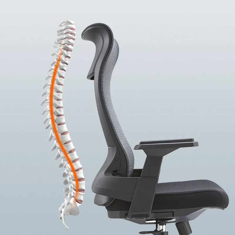 Chaise de bureau à bras fixes, chaise pivotante moderne à hauteur de siège réglable avec dossier respirant Clearhalo