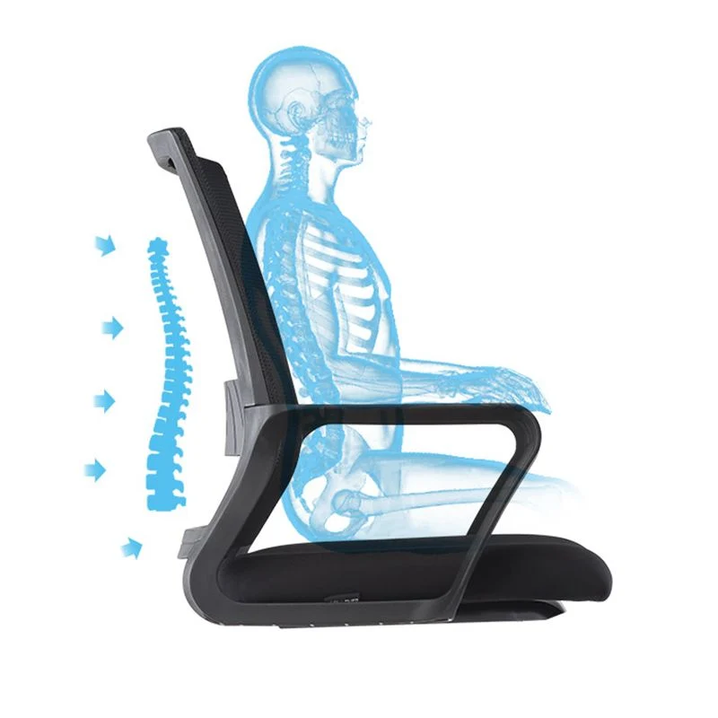Chaise de bureau à bras fixes moderne, chaise de bureau à domicile noire en nylon à dossier haut Clearhalo