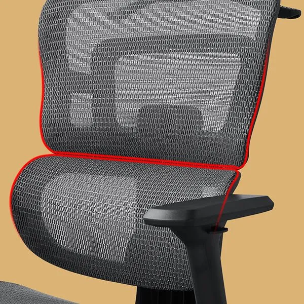 Chaise de bureau contemporaine à soutien lombaire, chaise de bureau réglable à dossier haut Clearhalo