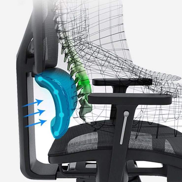 Chaise de bureau ergonomique réglable en hauteur, Support lombaire, chaise pivotante en maille pour ordinateur Clearhalo