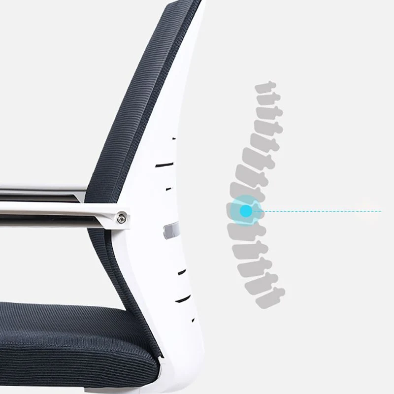 Chaise de bureau moderne sans roues, bras fixes, soutien lombaire, chaise de bureau Clearhalo