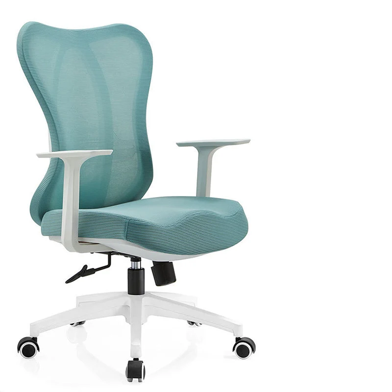 Chaise de bureau réglable contemporaine Chaise de bureau à soutien lombaire Clearhalo