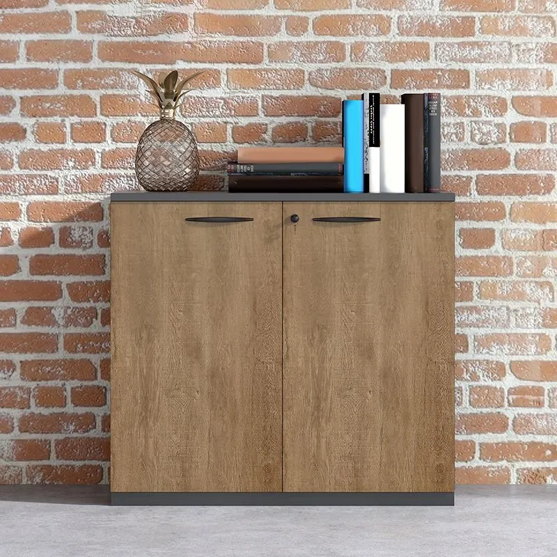 Classeur latéral en bois de style moderne avec rangement verrouillable Clearhalo