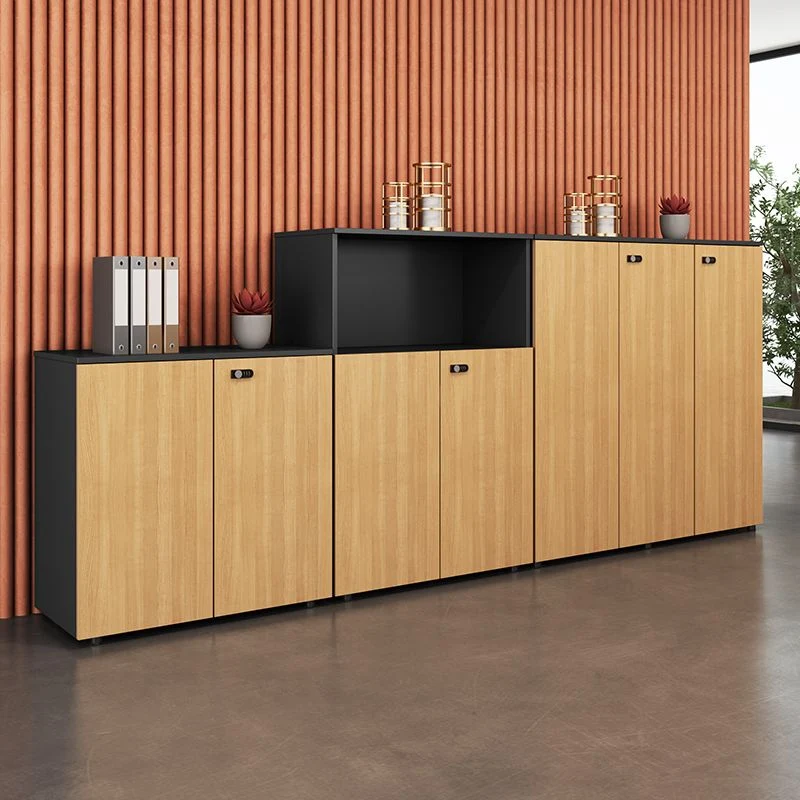 Classeur latéral contemporain en bois d'ingénierie avec serrure et rangement Clearhalo