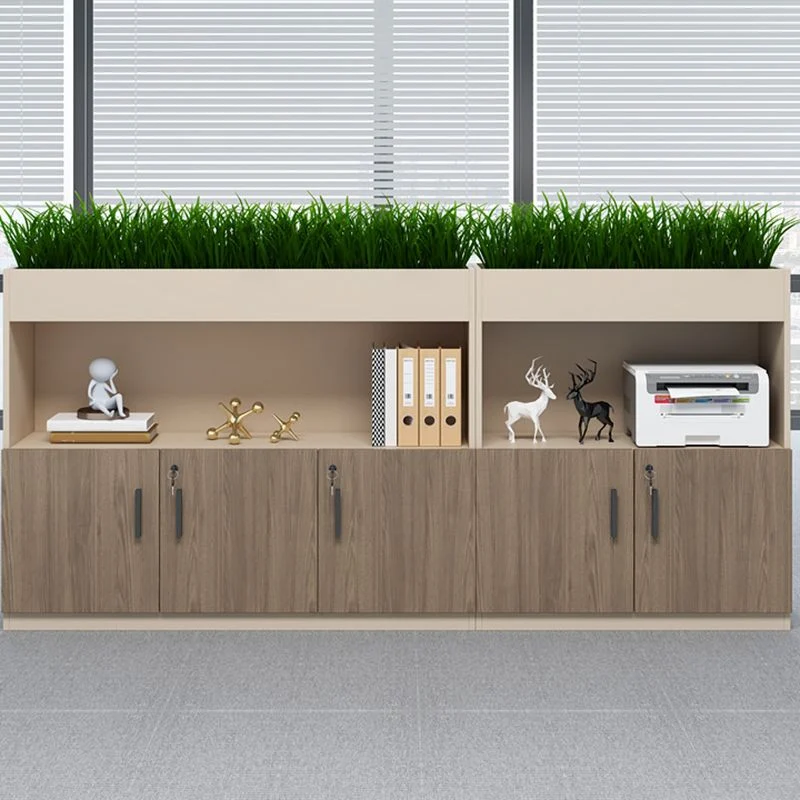 Classeur latéral moderne en bois avec rangement verrouillable Clearhalo