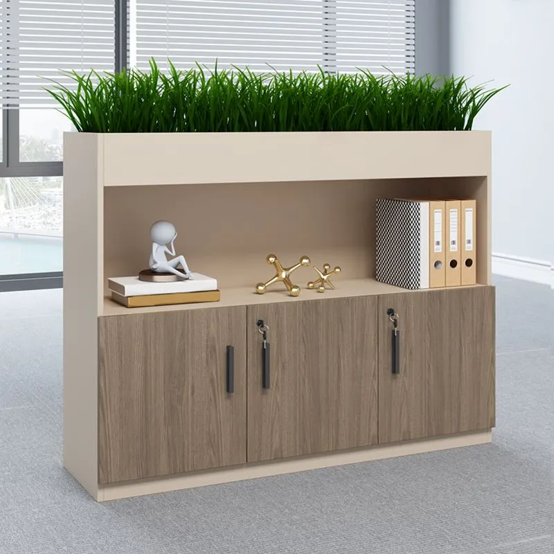 Classeur latéral moderne en bois avec rangement verrouillable Clearhalo
