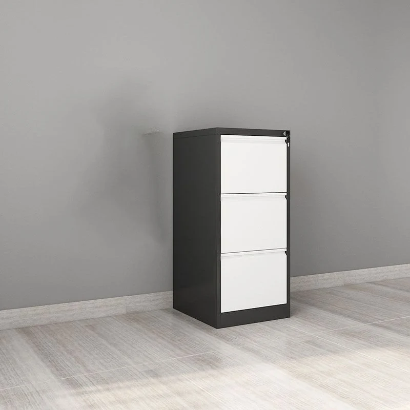 Classeur en métal moderne résistant au feu pour le bureau à domicile Clearhalo