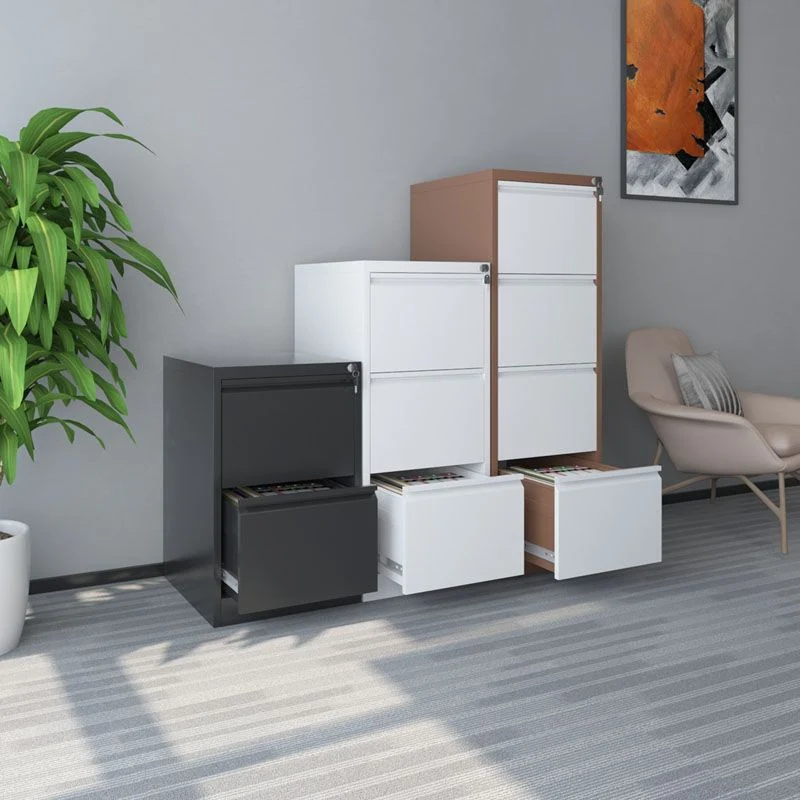 Classeur en métal moderne résistant au feu pour le bureau à domicile Clearhalo