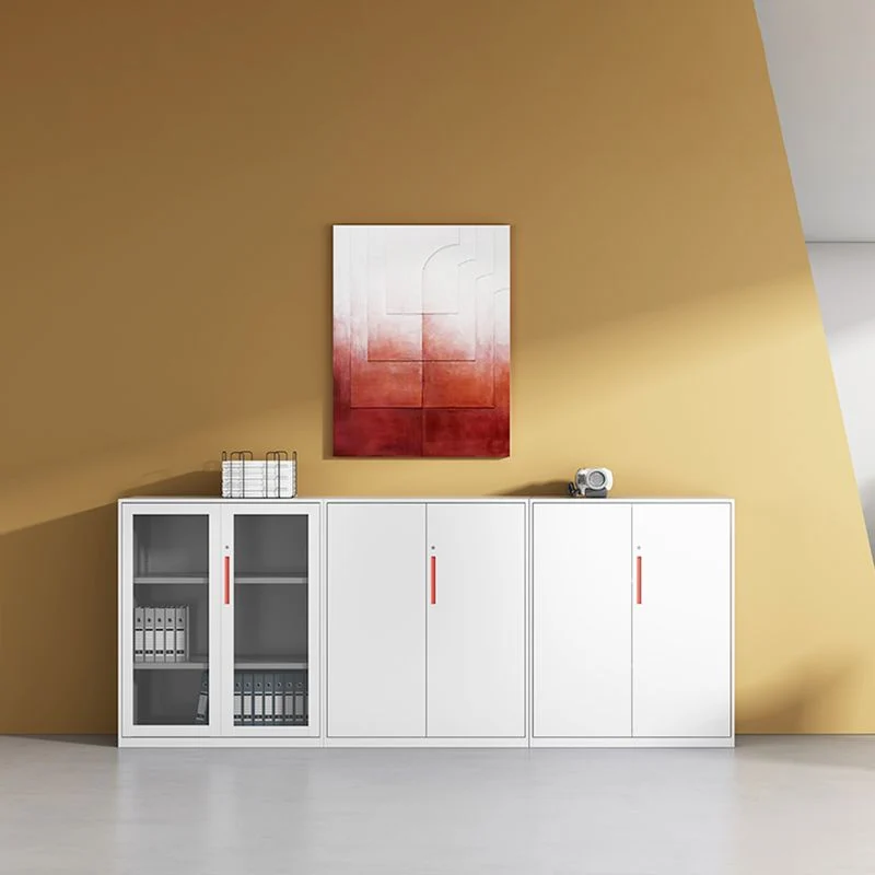 Classeur de stockage en métal étagères contemporaines verrouillant le classeur Clearhalo