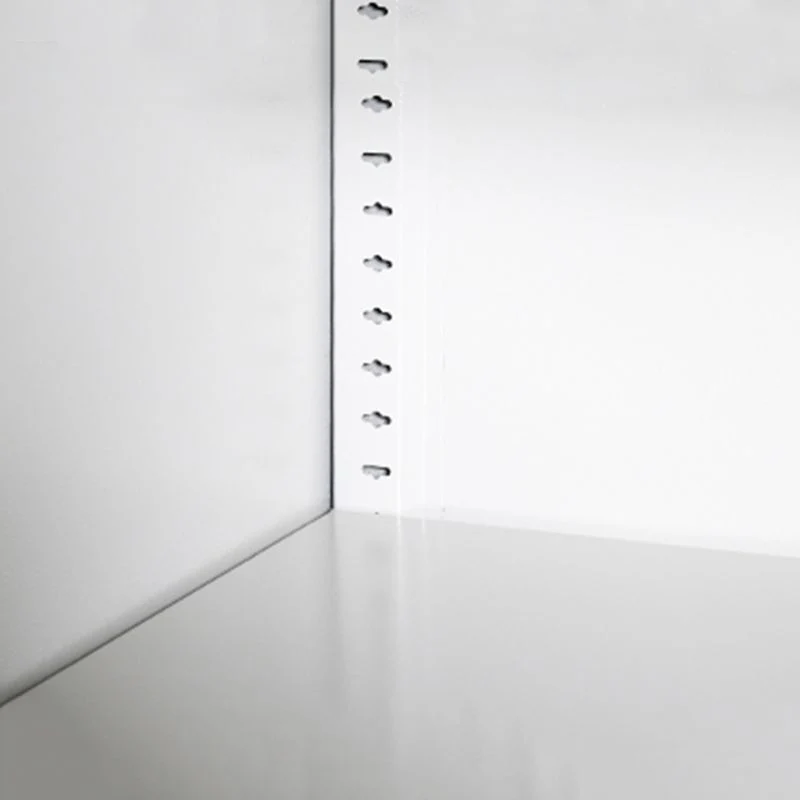 Classeur à verrouillage moderne en métal avec étagères de rangement Clearhalo