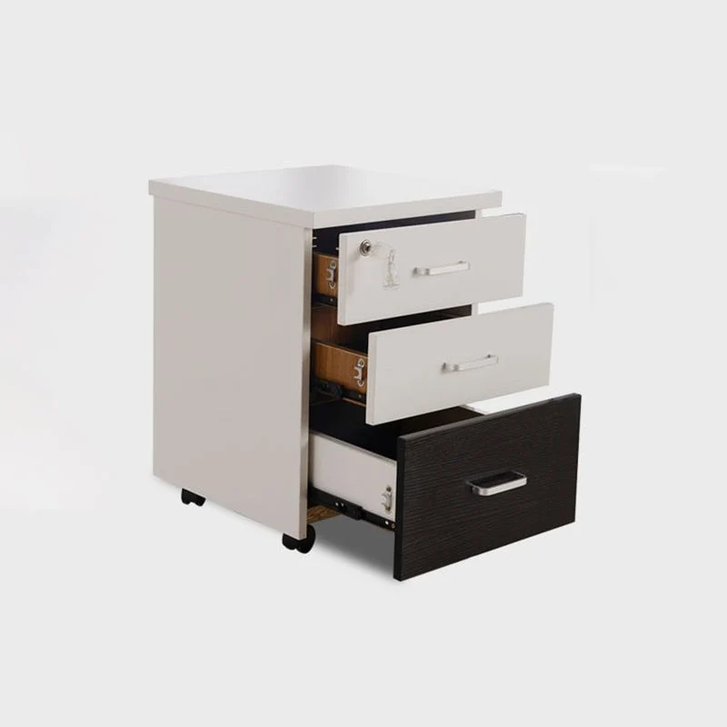 Classeur vertical en bois de style contemporain avec rangement verrouillable Clearhalo