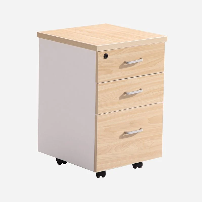 Classeur vertical en bois de style moderne avec rangement verrouillable Clearhalo