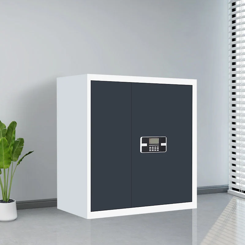 Classeur vertical contemporain résistant au feu à cadre en acier avec serrure Clearhalo