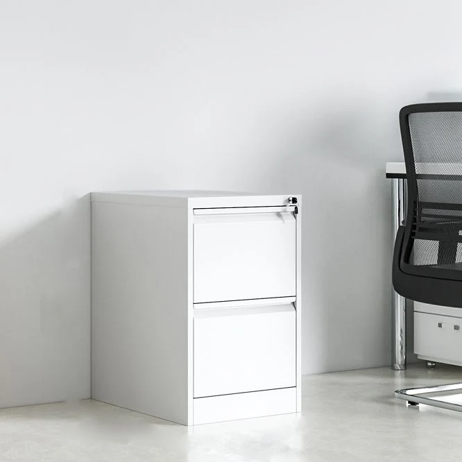 Classeur vertical en métal de classeur de style contemporain pour le bureau à domicile Clearhalo