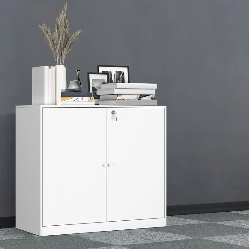 Classeur vertical en verre de style moderne avec rangement verrouillable Clearhalo