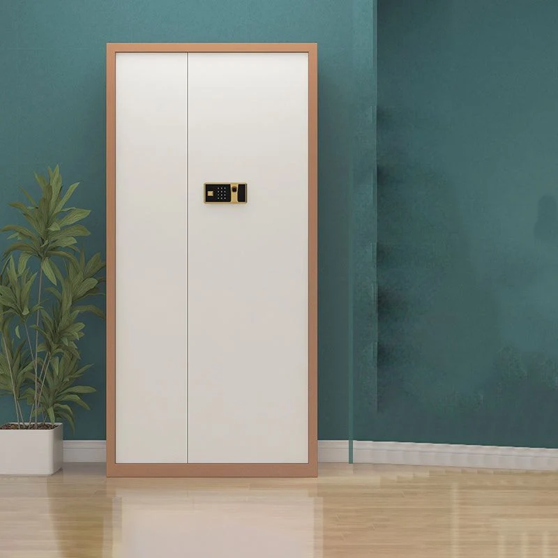 Classeurs contemporains à cadre métallique classeur vertical avec serrure Clearhalo
