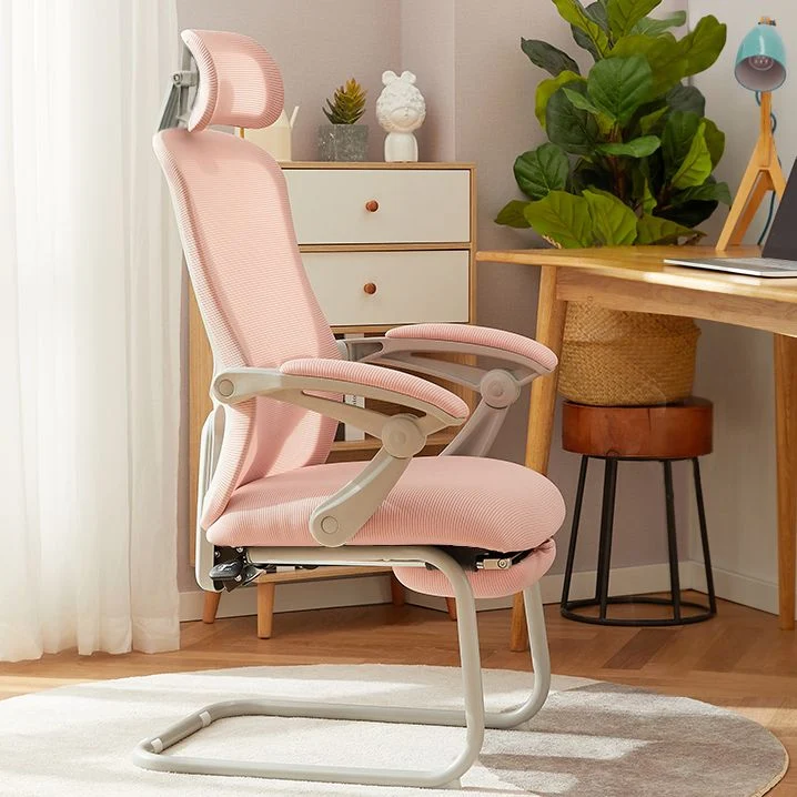 Mécanisme capitonné moderne d'inclinaison de chaise de bureau de bras aucune chaise ergonomique pénible Clearhalo